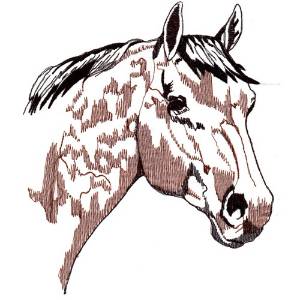Picture of Horse Head Profile Machine Embroidery Design