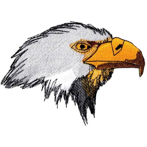 Picture of Eagle Head