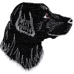 Picture of Black Lab Head