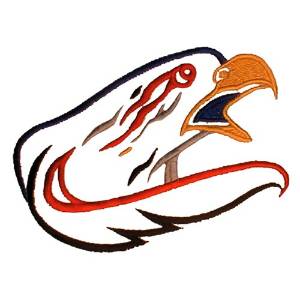 Picture of Abstract Hawk Machine Embroidery Design