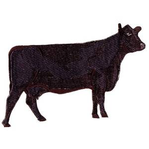Picture of Black Angus Machine Embroidery Design