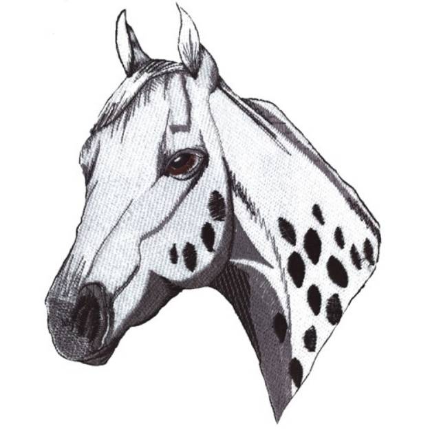Picture of Appaloosa Head Machine Embroidery Design