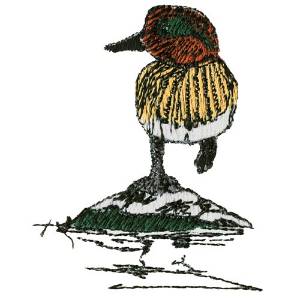 Picture of Green Winged Teal Machine Embroidery Design