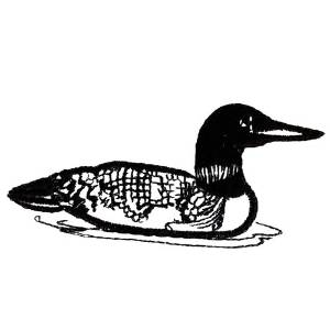 Picture of Loon Outline Machine Embroidery Design