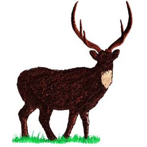 Picture of Axis Deer Machine Embroidery Design