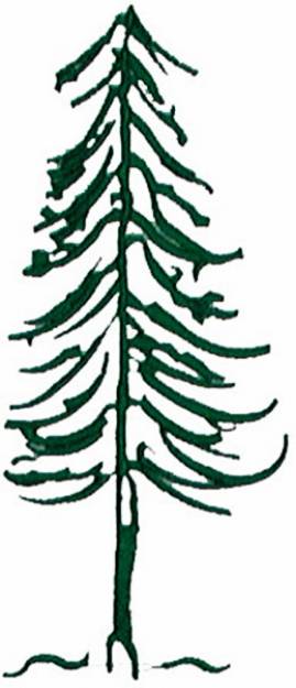 Picture of Stylized Tree Machine Embroidery Design