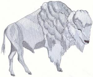 Picture of White Buffalo Machine Embroidery Design
