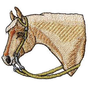 Picture of Palomino Head