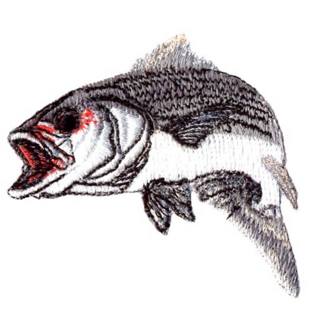 Picture of Striped Bass Machine Embroidery Design