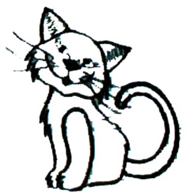 Picture of Cat outline Machine Embroidery Design