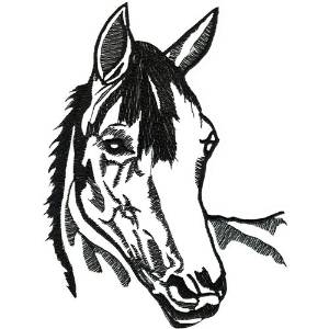 Picture of Horse head Machine Embroidery Design