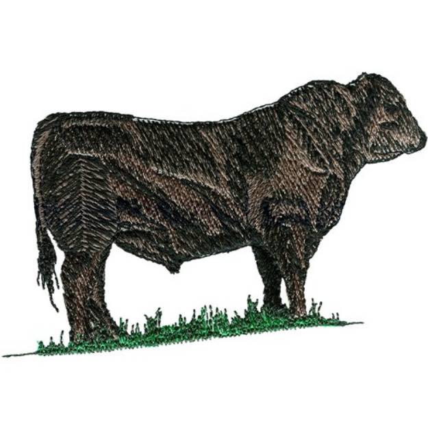 Picture of Black Angus Steer Machine Embroidery Design