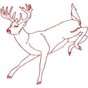Picture of White Tail  Deer Machine Embroidery Design