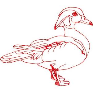 Picture of Wood Duck Ragwork Machine Embroidery Design