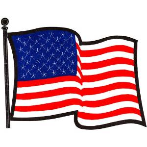 Picture of Applique U.S. Flag Machine Embroidery Design