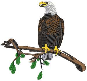 Picture of Eagle On Branch Machine Embroidery Design