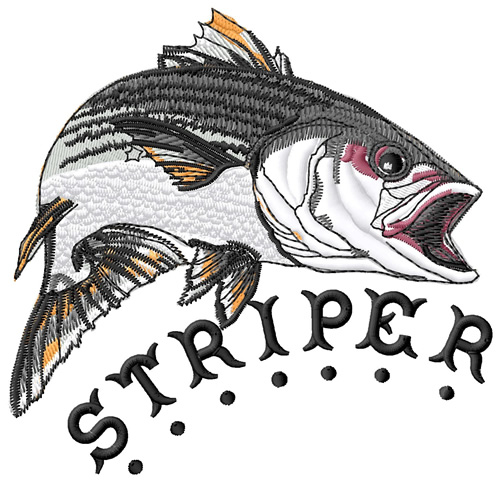 Striper Machine Embroidery Design