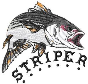 Picture of Striper Machine Embroidery Design