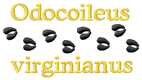 Odocoileus Virginianus Machine Embroidery Design