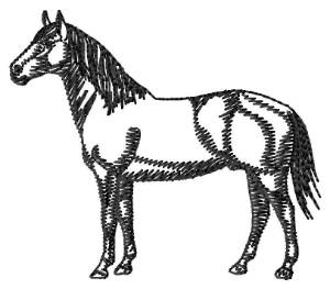Picture of American Quarter Horse Silhouette Machine Embroidery Design