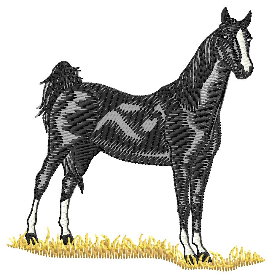 American Saddle Horse Machine Embroidery Design