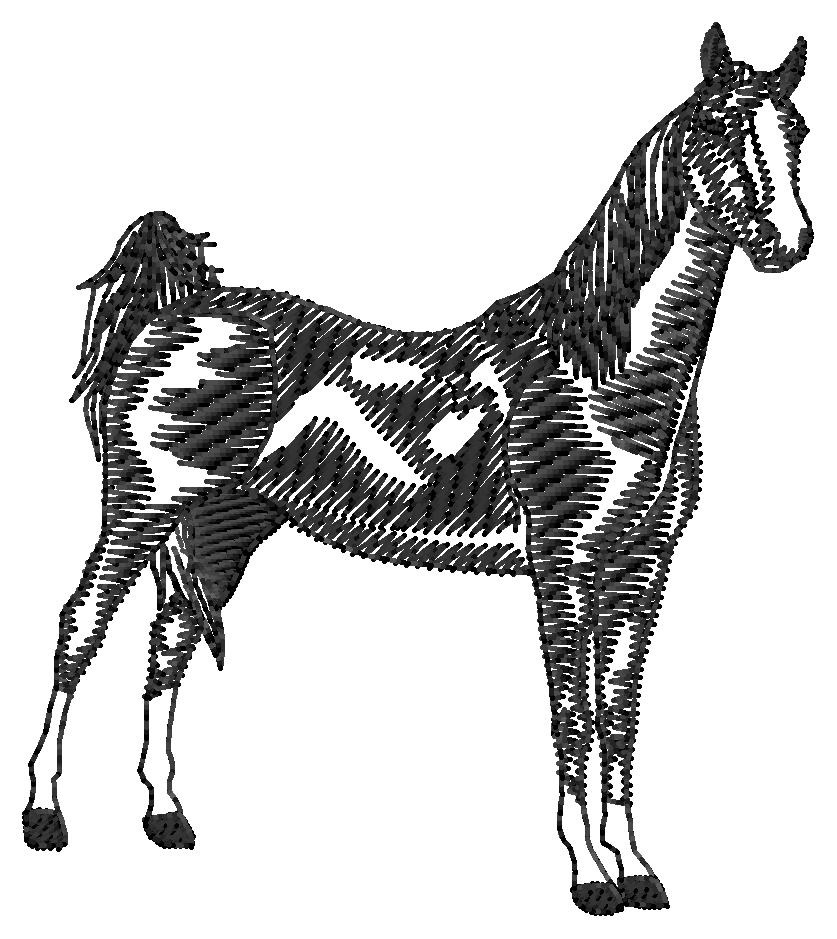 American Saddle Horse Silhouette Machine Embroidery Design