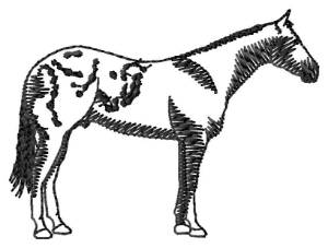 Picture of Appaloosa Silhouette Machine Embroidery Design