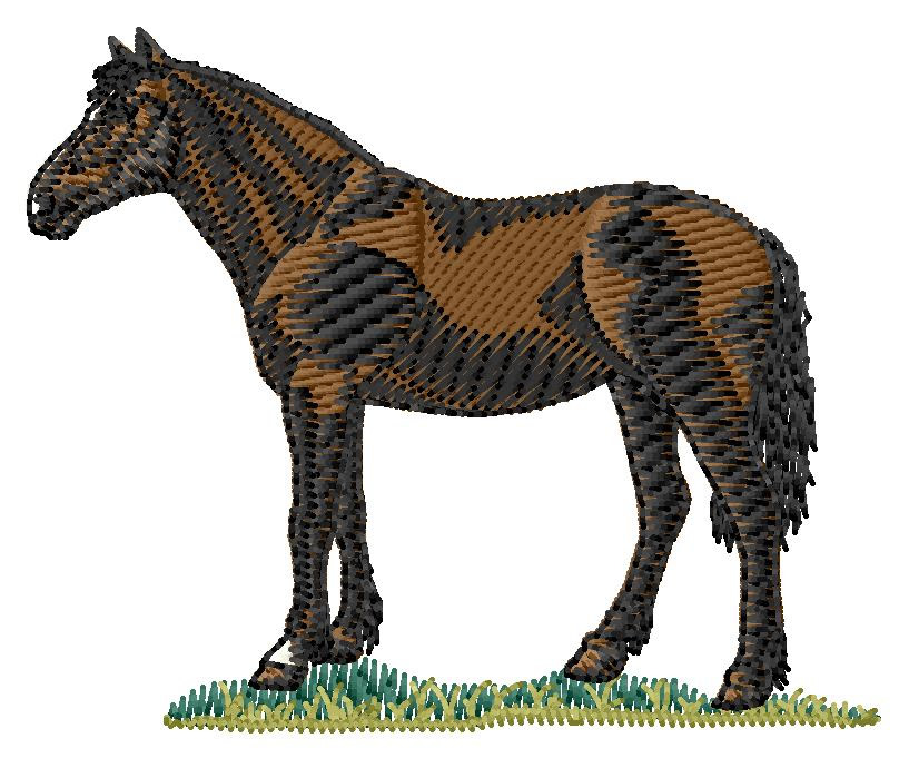 Criollo Horse Machine Embroidery Design