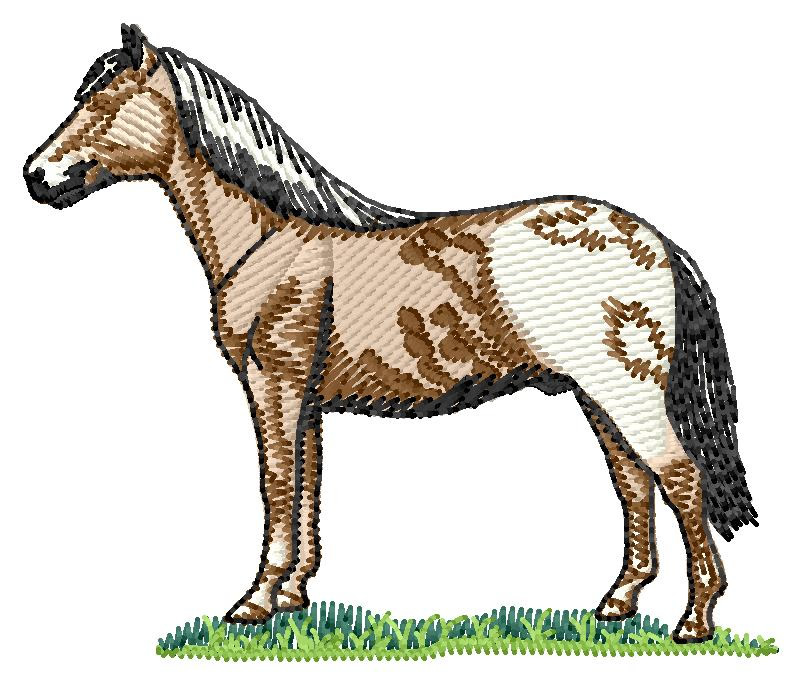 Falabella Horse Machine Embroidery Design