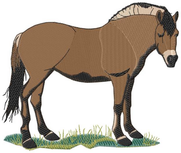 Picture of Fjord Pony Machine Embroidery Design