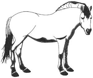 Picture of Fjord Pony Silhouette Machine Embroidery Design