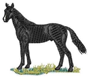 Picture of French Trotter Horse Machine Embroidery Design