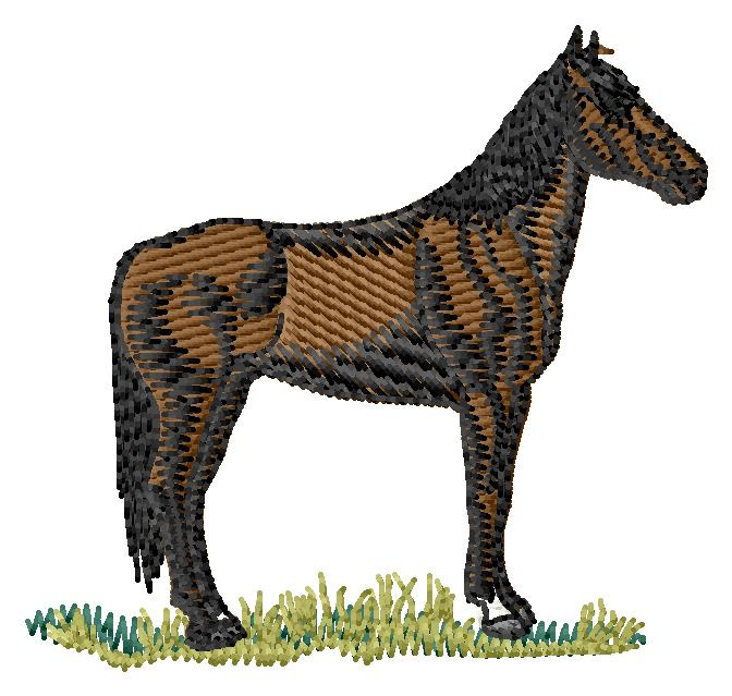 Maremma Horse Machine Embroidery Design