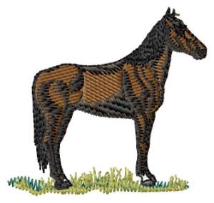 Picture of Maremma Horse Machine Embroidery Design
