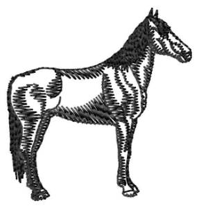 Picture of Maremma Horse Silhouette Machine Embroidery Design