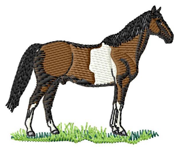 Picture of Pinto Machine Embroidery Design