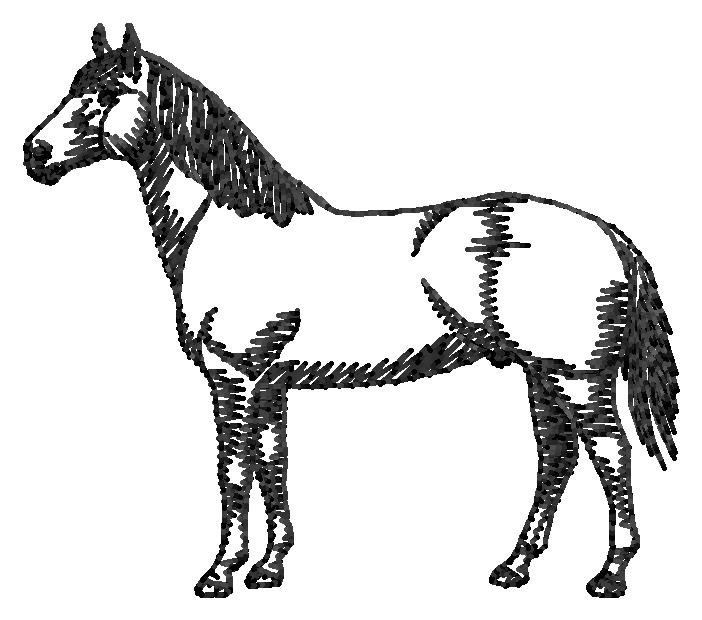Quarter Horse #2 Silhouette Machine Embroidery Design