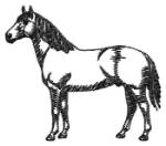 Picture of Quarter Horse #2 Silhouette Machine Embroidery Design