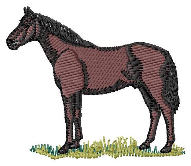 Picture of Thoroughbred Machine Embroidery Design