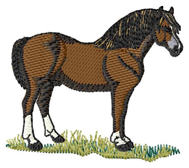 Picture of Welsh Pony #2 Machine Embroidery Design