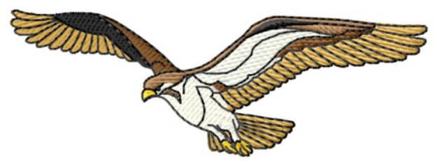 Picture of Hawk Machine Embroidery Design