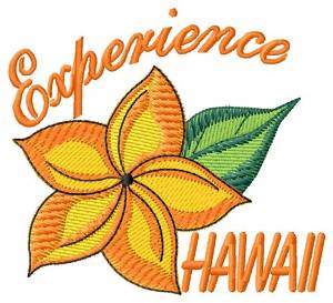 Picture of Experience Hawaii Machine Embroidery Design