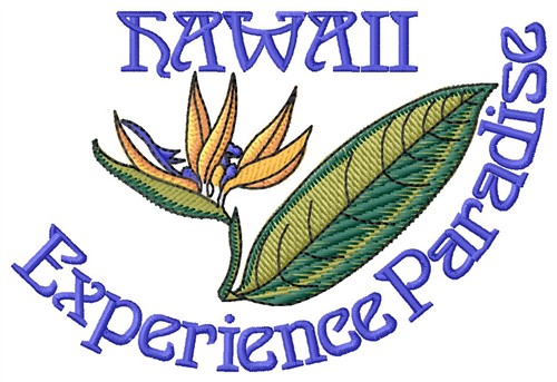 Experience Machine Embroidery Design