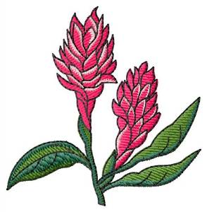 Picture of Red Ginger Machine Embroidery Design
