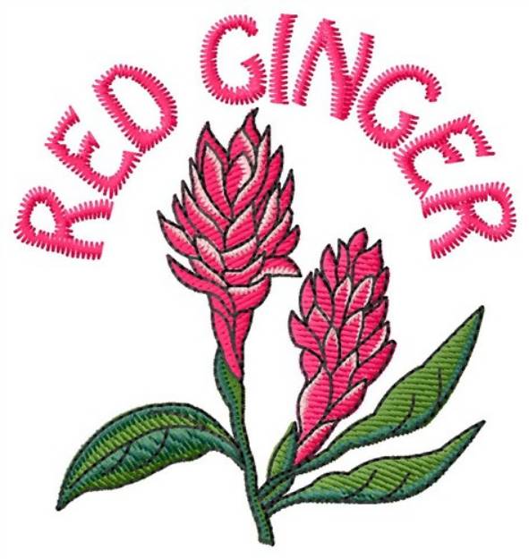 Picture of Red Ginger Machine Embroidery Design