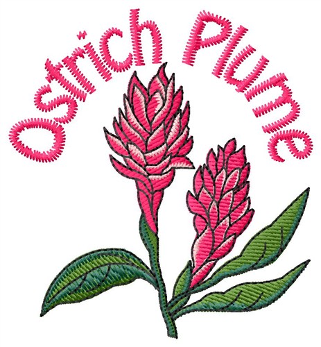 Ostrich Plume Machine Embroidery Design