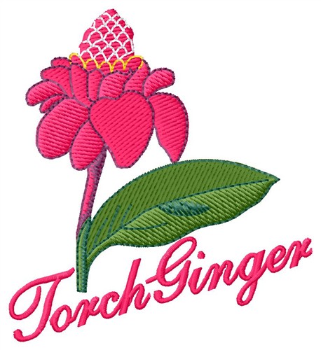 Torch Ginger Machine Embroidery Design