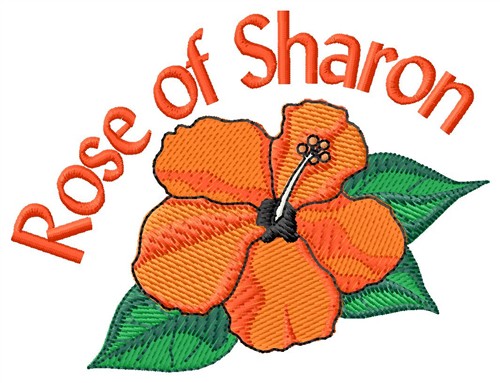 Rose Of Sharon Machine Embroidery Design