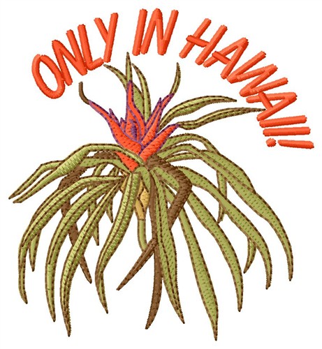 Only In Hawaii Machine Embroidery Design