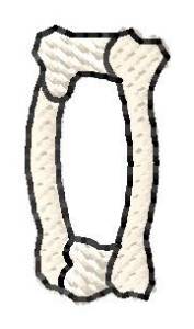 Picture of Bones Number 0 Machine Embroidery Design